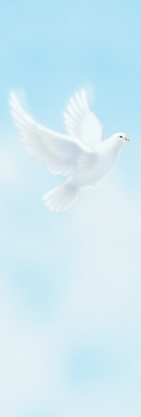 Dove